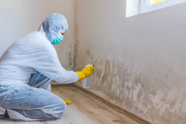 Mold Remediation specialist working in Chatham